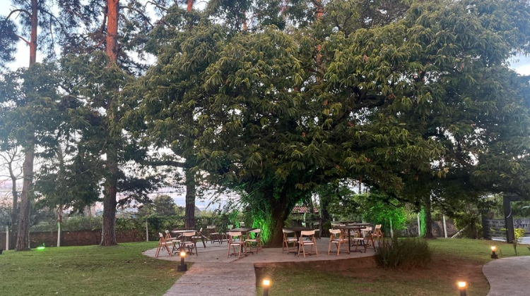 Campo do Villa Solare